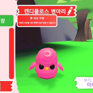 입양하세요 펫 캔디플로스 병아리 판매합니다 이미지