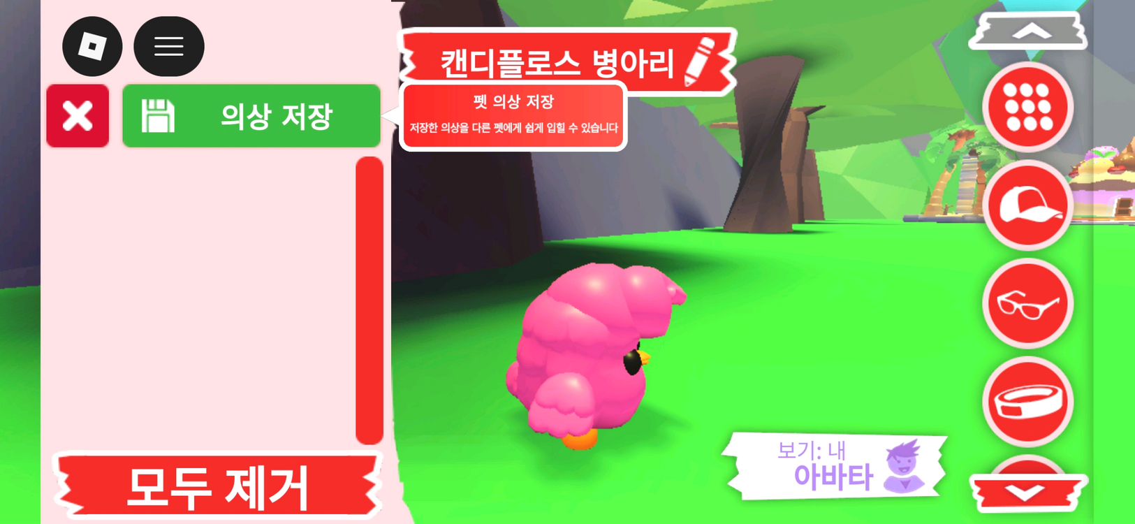 입양하세요 펫 캔디플로스 병아리 판매합니다 이미지