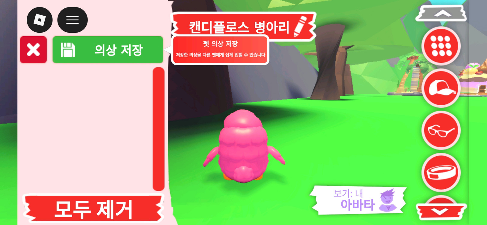 입양하세요 펫 캔디플로스 병아리 판매합니다 이미지