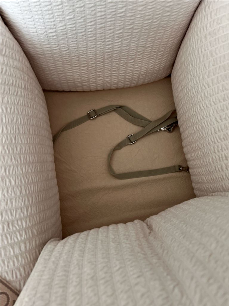 DUGROO 바늘나무 두그루 카시트 올라운드 뱀부 L사이즈 이미지