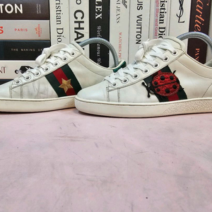 구찌 여성 스니커즈 운동화 235 이미지