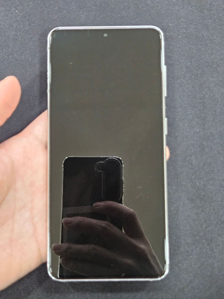 갤럭시S21 256GB 이미지