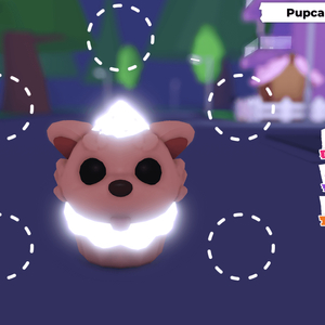 입양하세요 펫 메날타 펍케이크강아지 ㅍㅍ 이미지