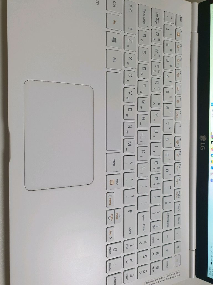 그램 노트북 LG그램 15인치 i7 10세대 이미지