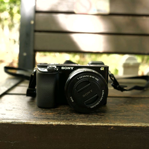 소니 a6100