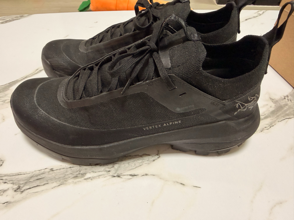 26ss 아크테릭스 버텍스알파인 gtx 블랙 255 이미지