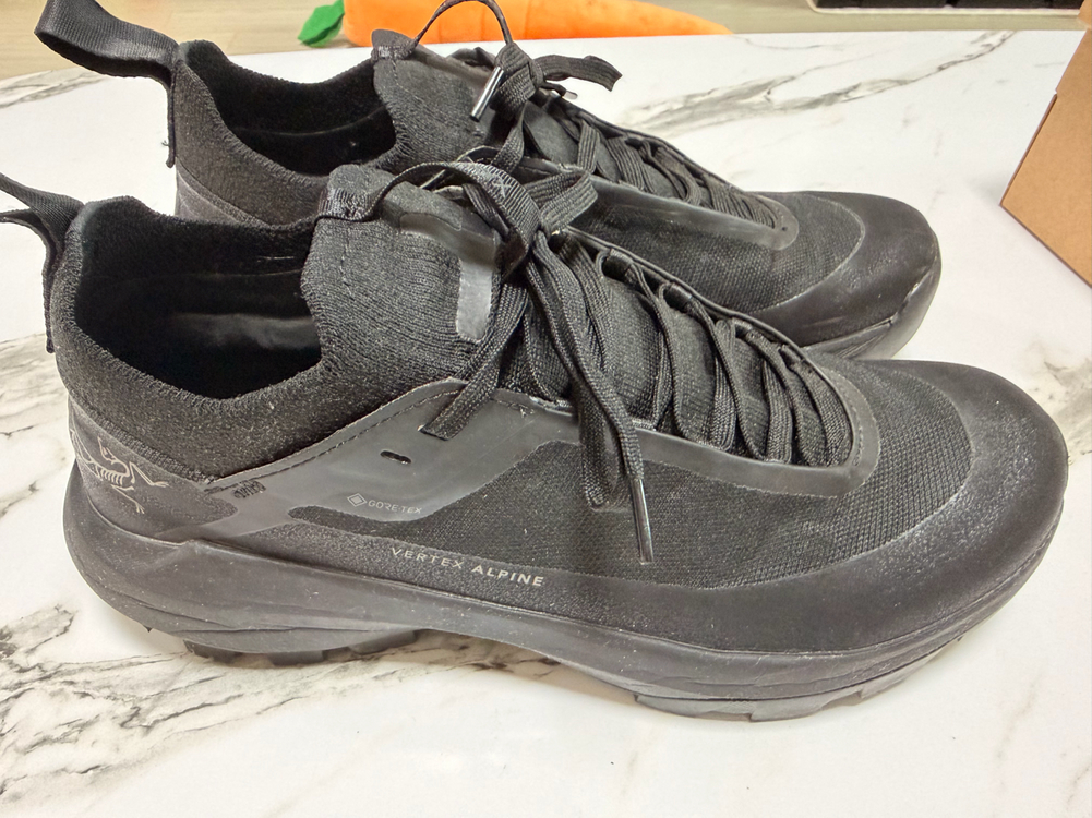 26ss 아크테릭스 버텍스알파인 gtx 블랙 255 이미지