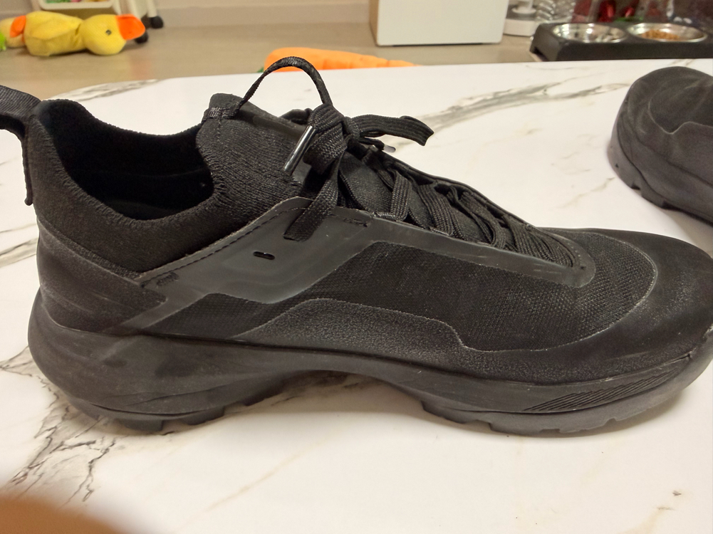 26ss 아크테릭스 버텍스알파인 gtx 블랙 255 이미지