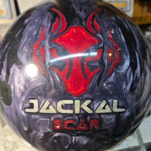 볼링공 자칼14 이미지