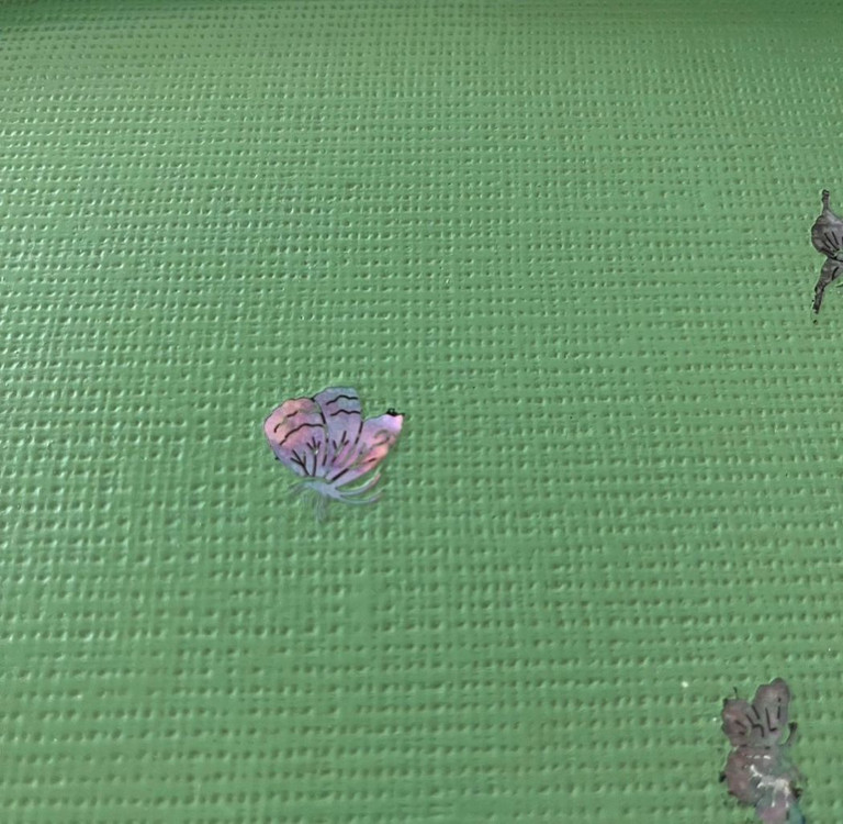 스튜디오아윤 옻칠 자개 쟁반/트레이 이미지