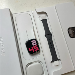 애플워치10티타늄 46mm 내추럴 SSS급 애플케어+ 이미지