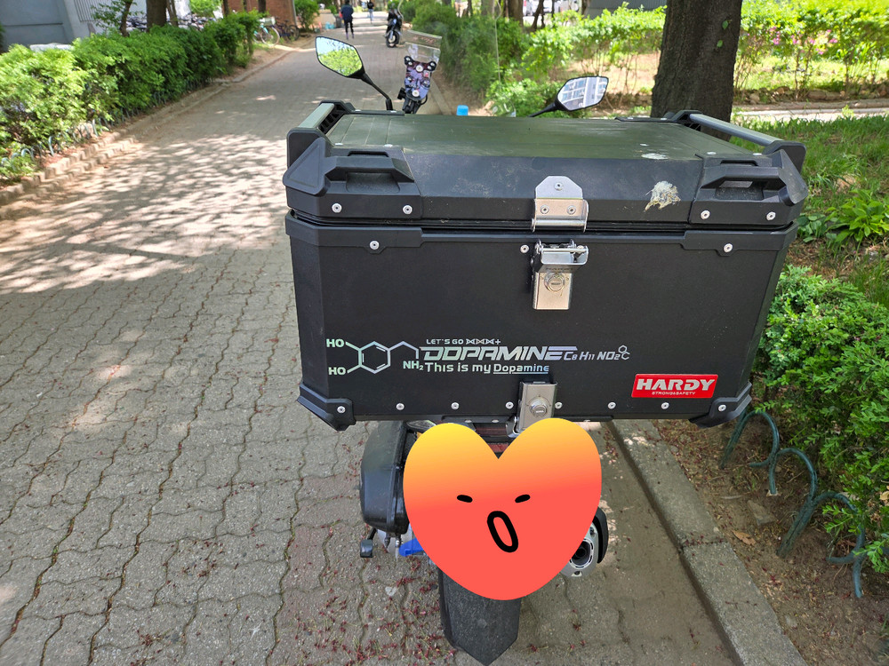 pcx하디 탑박스65리터+ 하디 짐대+ 카멜레온24리터 이미지