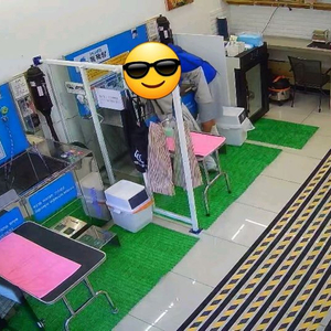 애견미용실 세팅 부속품 일괄세트 이미지