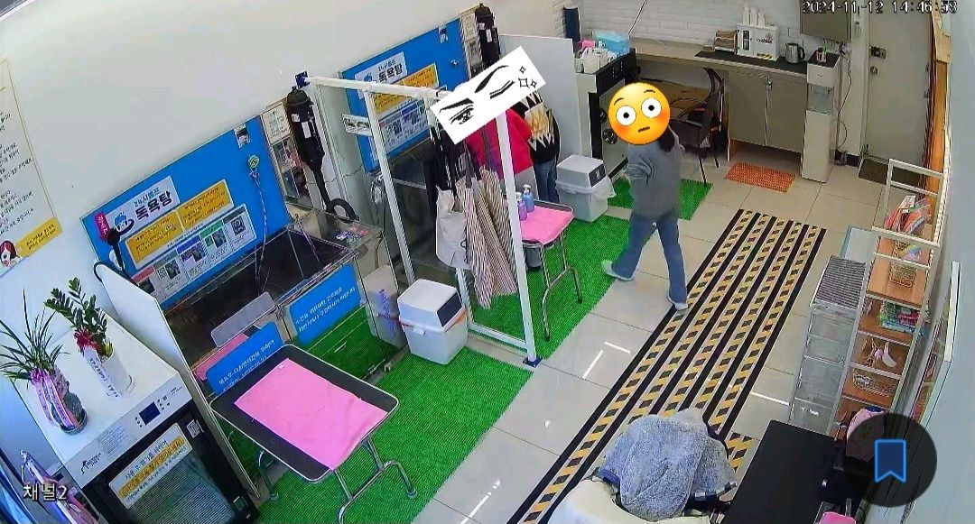 애견미용실 세팅 부속품 일괄세트 이미지