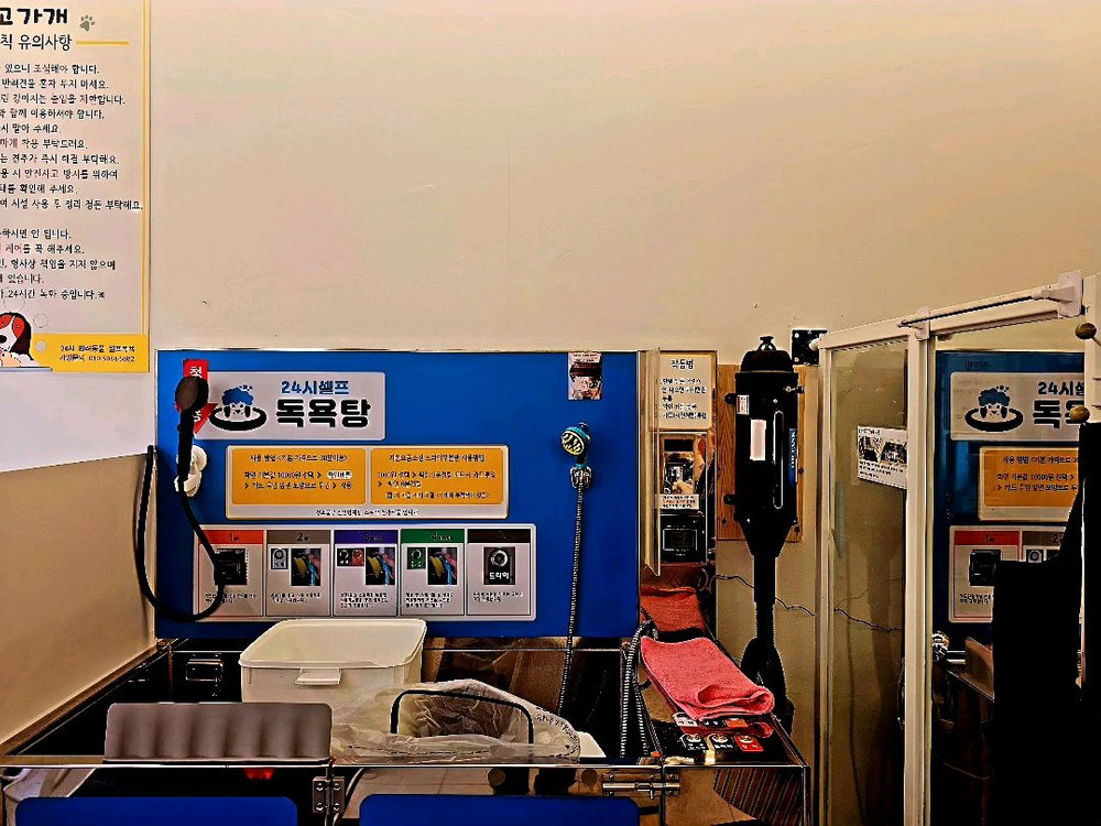 애견미용실 세팅 부속품 일괄세트 이미지