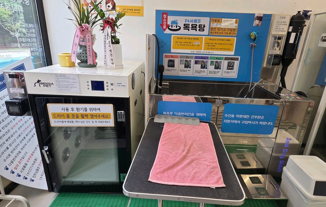 애견미용실 세팅 부속품 일괄세트 이미지