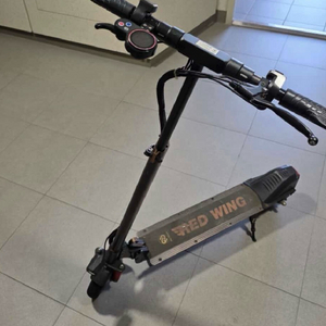 레드윙 전킥 이미지