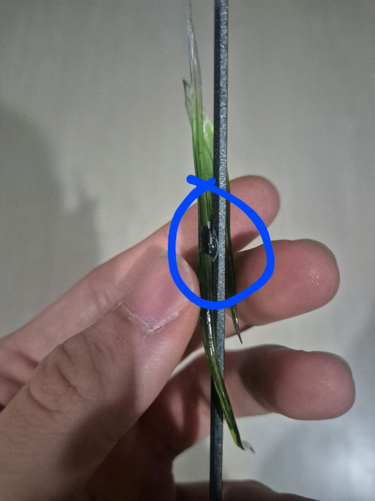 귀멸의칼날 유킹사네미 레진피규어 팝니다 이미지