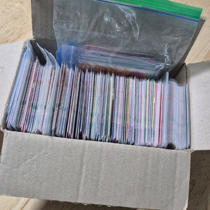 [모동숲 아미보] 모여봐요 동물의 숲 #캠핑카, 1-5탄, NPC# 아미보 이미지