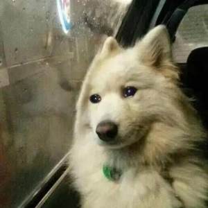 방탄 국뷔 클로닝 소장본 구해요 이미지