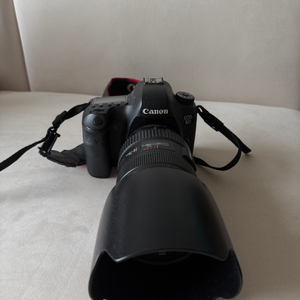 캐논 EOS 6D + EF 24-70mm F2.8L USM (구계륵) 세트 / 풀프레임 DSLR