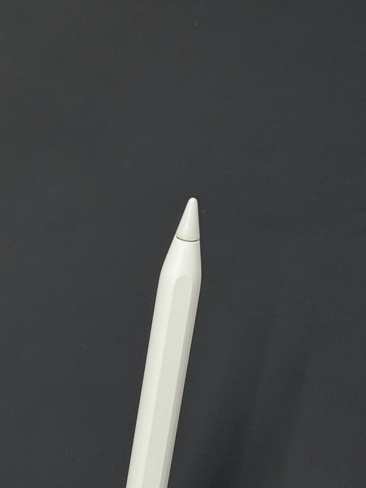 아이패드 프로 11인치 스페이스 그레이 2세대 256g 셀룰러+펜슬2세대 이미지