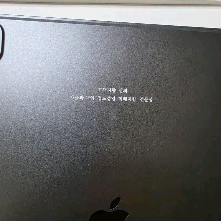 아이패드프로 13인치 M4 256GB Wi-Fi 블랙 이미지