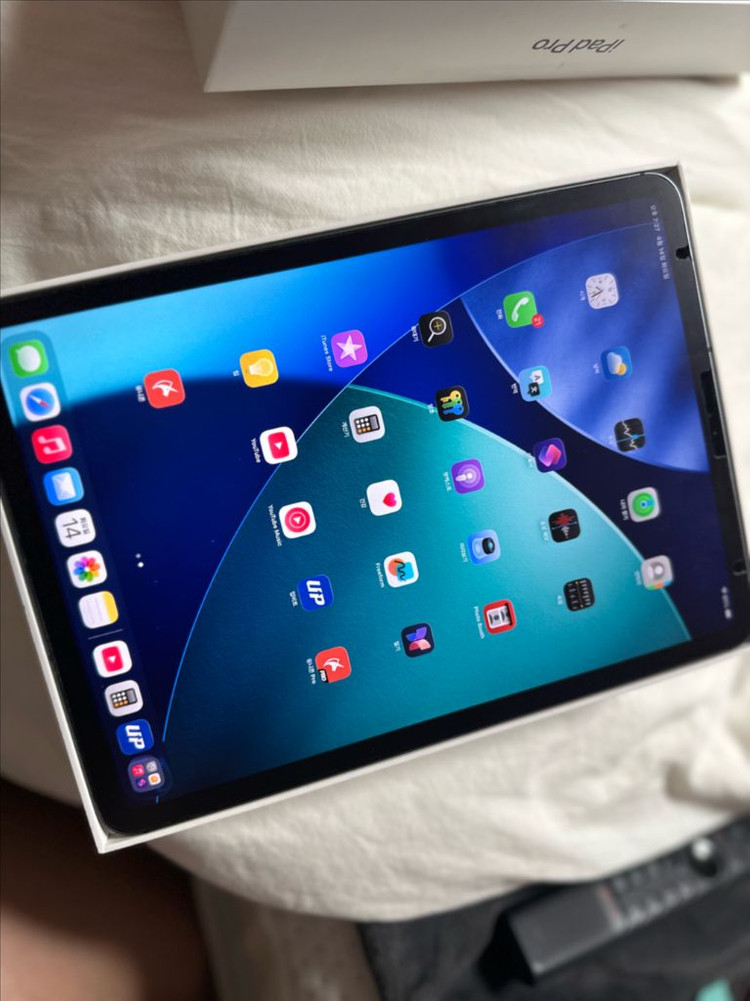 무음 아이패드 프로 2세대 11인치 256gb 셀룰러 스페이스그레이 이미지