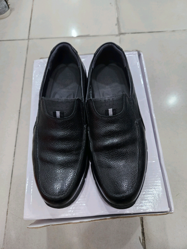 텐디로퍼(남250) 이미지