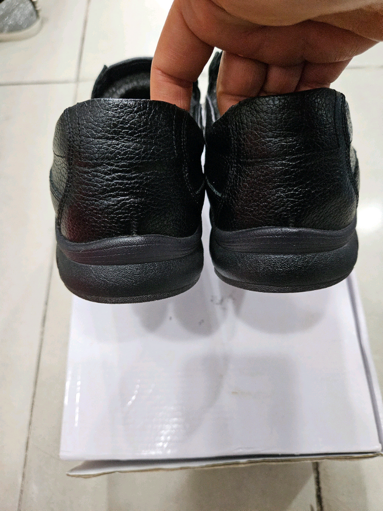 텐디로퍼(남250) 이미지