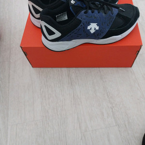 데쌍트 250 이미지