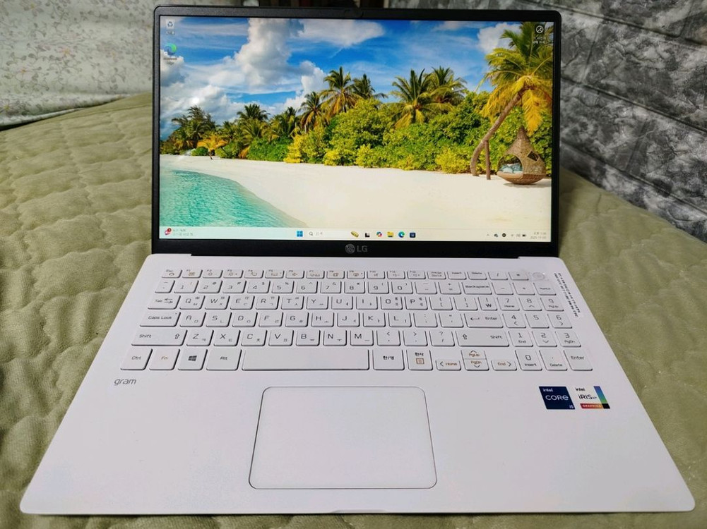 LG 그램 15Z95N-GP5TL 이미지
