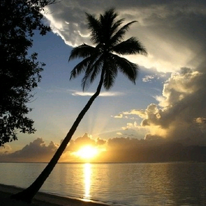 피망 뉴맞고 머니 삽니다 이미지