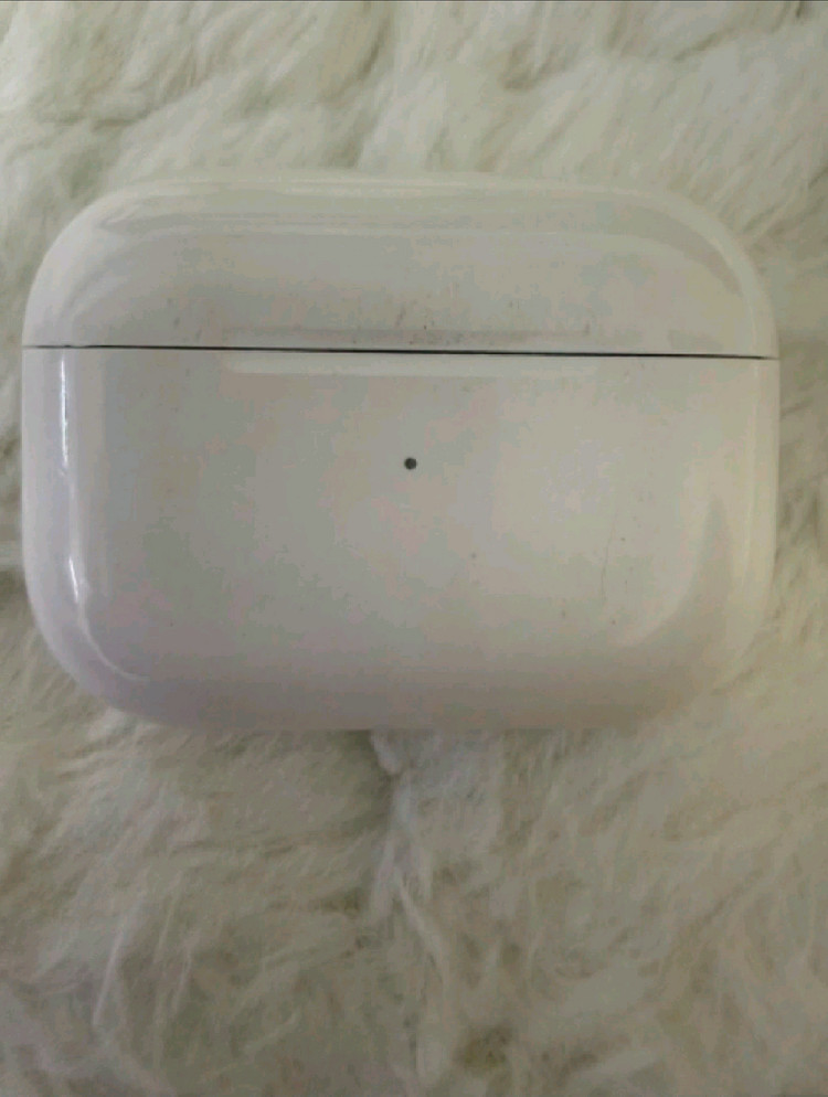 에어팟프로2 c타입본체 이미지