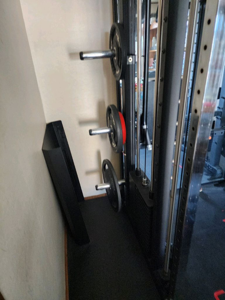 뉴젠 듀얼풀리 스미스 머신 팝니다 이미지