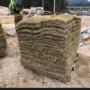 롤잔디40 60 3파레트. 싸게판매합니딘 이미지