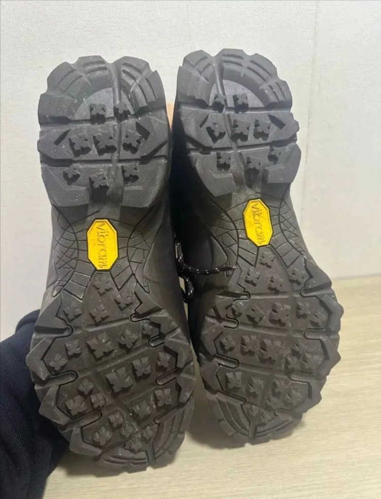 로아 카타리나 44 이미지