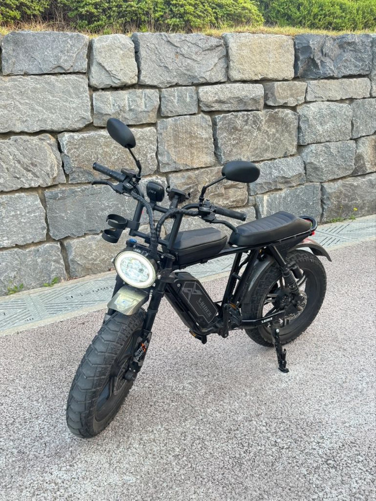 [풀옵션] 엑스라이더 X200 Pro 프로 전기자전거 자토바이 터보X 이미지