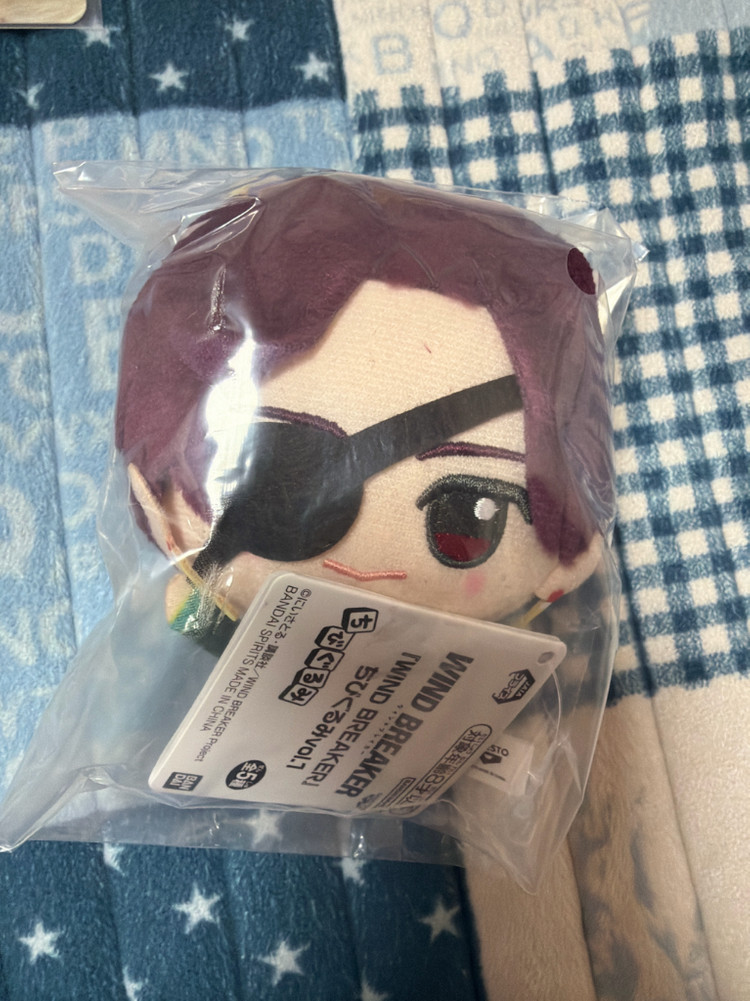 윈드브레이커 윈브레 하야토 스오 치비구루미 인형 캔뱃지 이미지