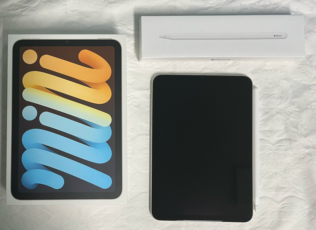 [새상품급]아이패드 미니 6세대 256G WiFi + 애플펜슬 이미지