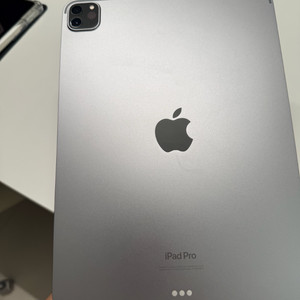 수원 아이패드프로11 4세대 128 스그 팝니다 이미지