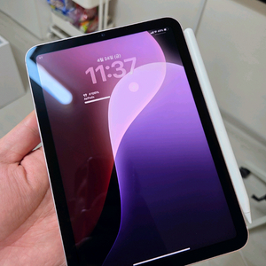 아이패드미니6 셀룰러 핑크+애플펜슬2세대 판매 이미지