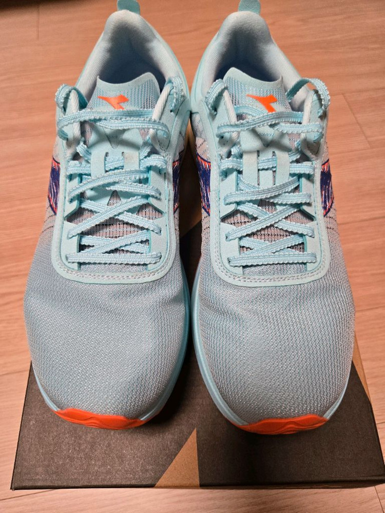 [270] 디아도라 가라카본2 이미지