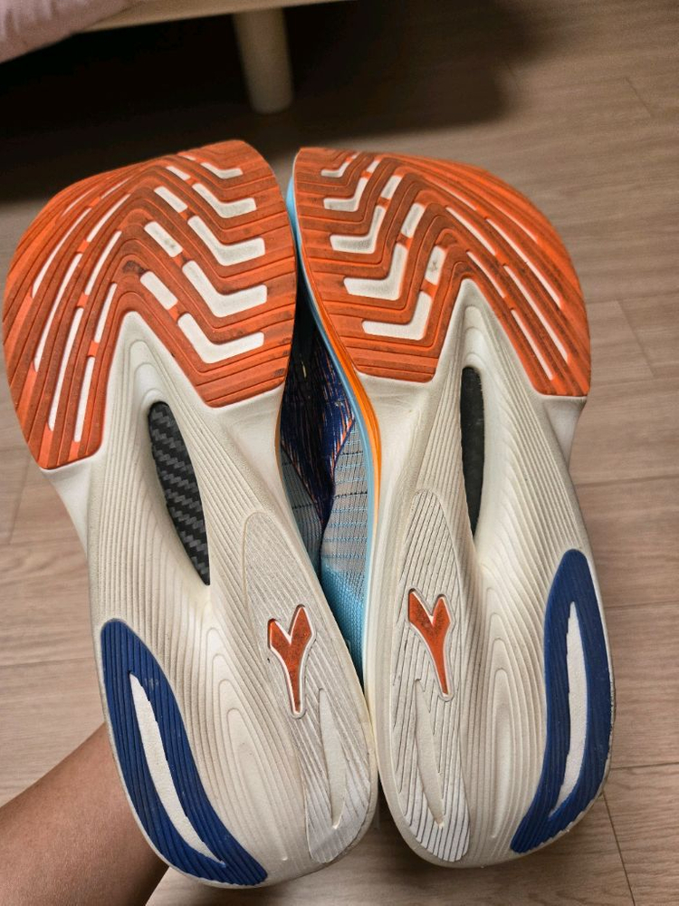 [270] 디아도라 가라카본2 이미지