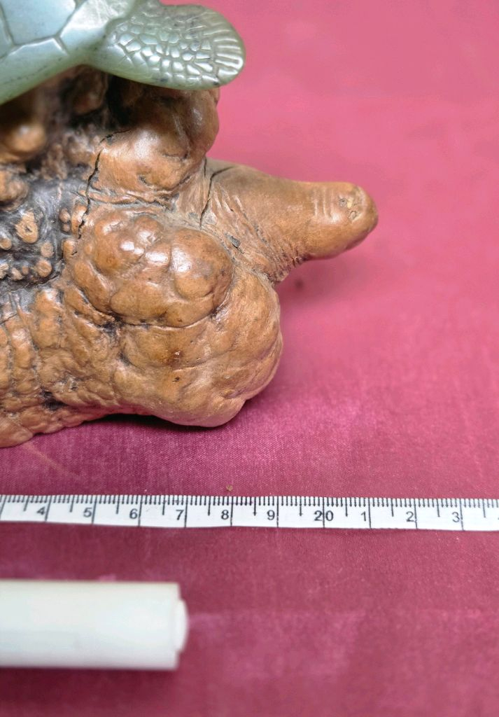 *John Perry 제작.수지로 만든 거북이 조각상 이미지