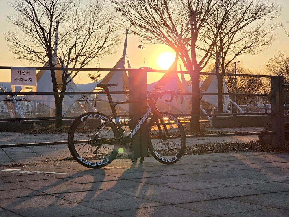 메리다 리엑토 리액토 v 팀 판매 대차 이미지