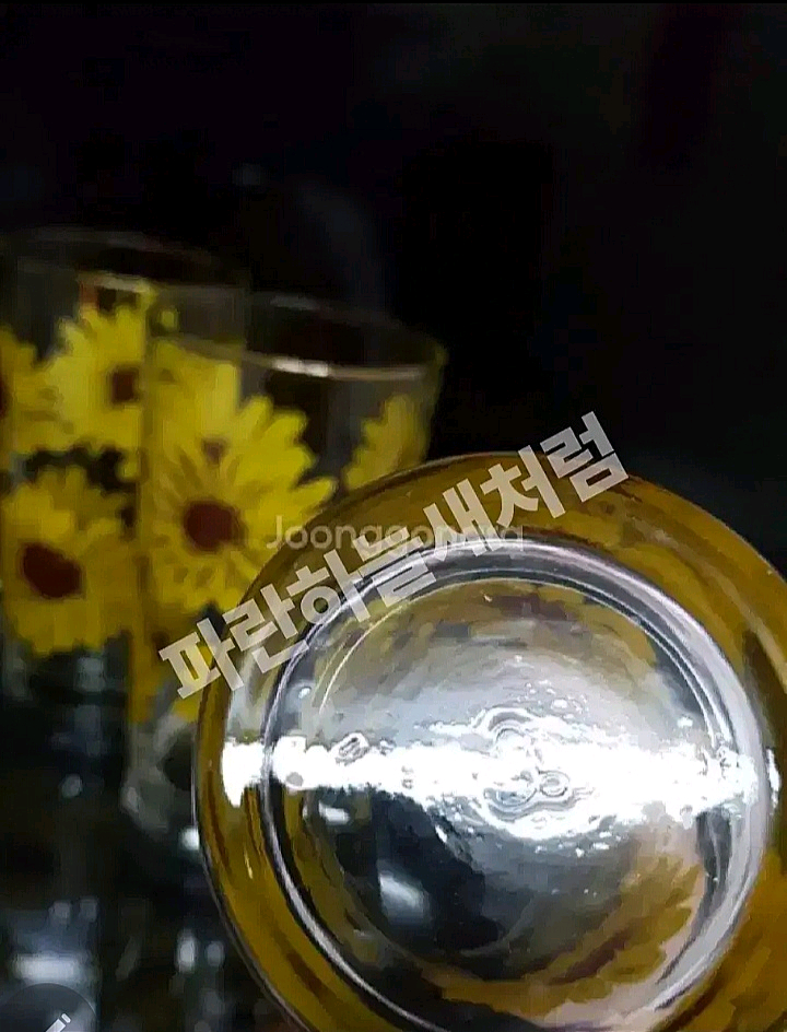 미국산유리컵 리비노란데이지 개당가 이미지