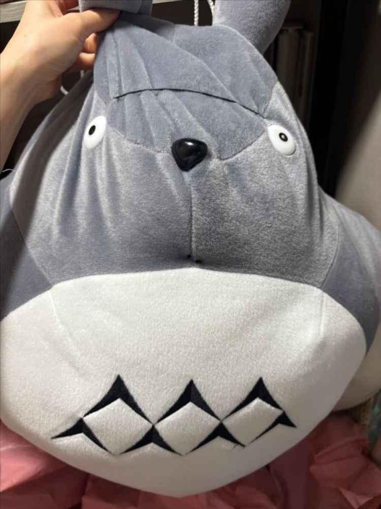 토토로 대형 이미지