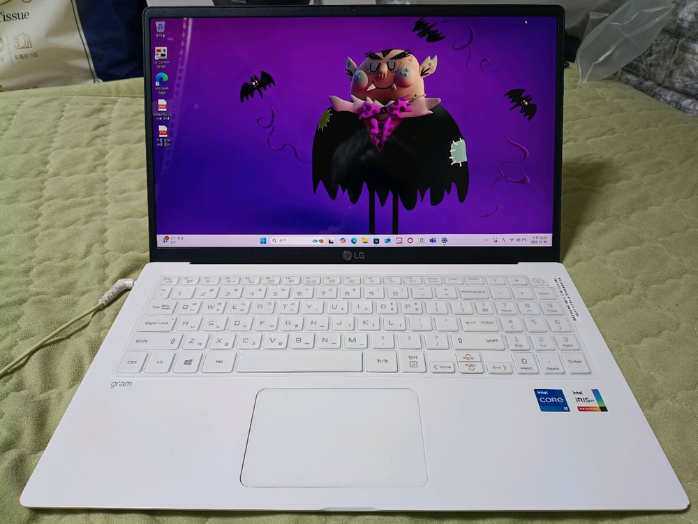 LG 그램 15Z95N-GRWWL 이미지