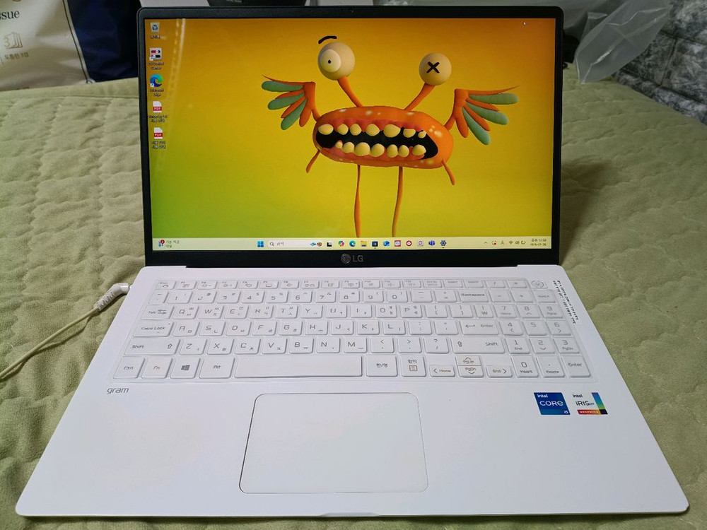 LG 그램 15Z95N-GRWWL 이미지
